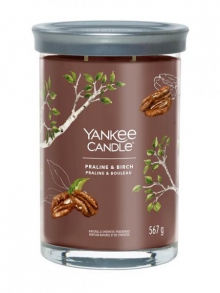  - Yankee Candle PRALINE & BIRCH, Signature tumbler velký 567 g